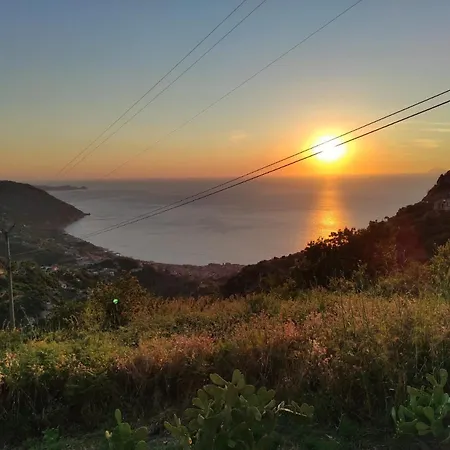 Tale Gioiosa